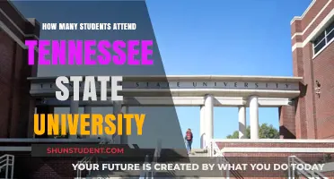 Tennessee State University: Student Population Insights