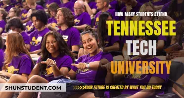 Tennessee Tech University: Student Population and Insights