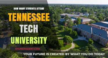 Tennessee Tech University: Enrollment Figures and Trends