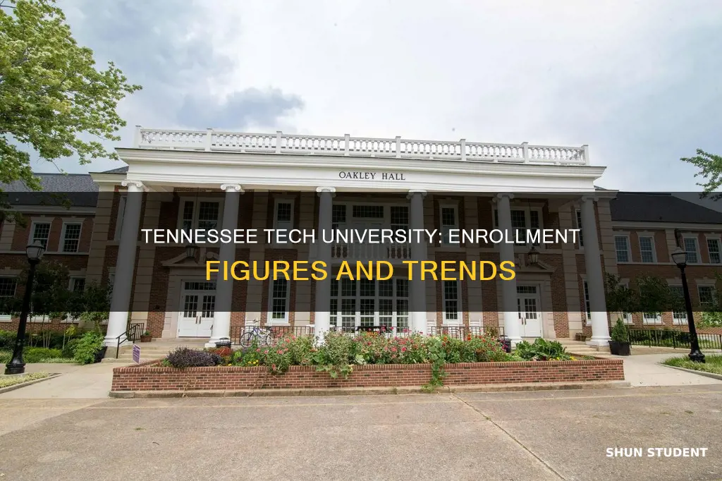 how many students attend tennessee tech university