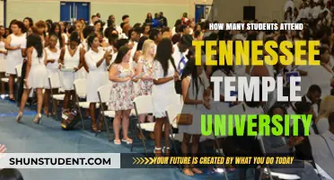Temple University's Student Population: A Comprehensive Overview