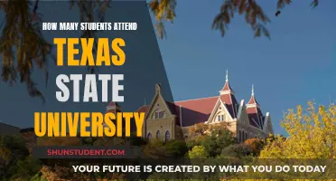 Texas State University: Student Population and Attendance Insights