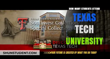 Attendee Figures at Texas Tech University