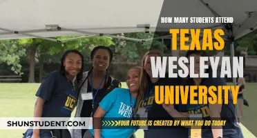 Texas Wesleyan University: Student Population and Insights