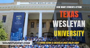 A Small School Feel: Texas Wesleyan University's Student Population