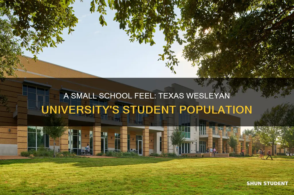 how many students attend texas wesleyan university