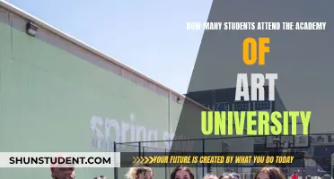 Art Academy University: Student Numbers and You