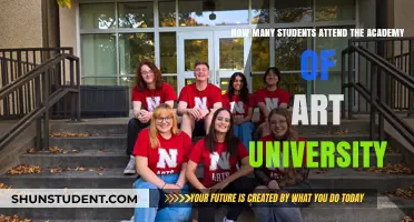 Art Academy University: Student Numbers and You