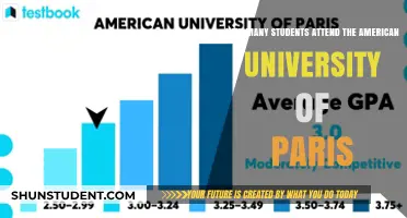 Exploring Enrollment: American University of Paris Student Numbers