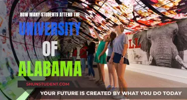 Exploring Enrollment: University of Alabama's Student Population