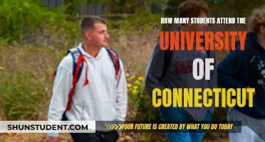 Exploring UConn's Student Population: Understanding the Numbers