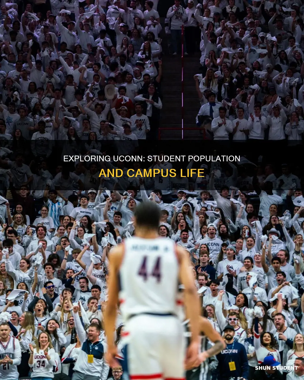 how many students attend the university of connecticut