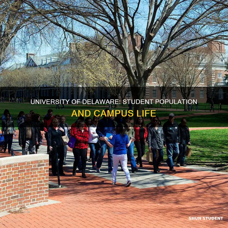 how many students attend the university of delaware