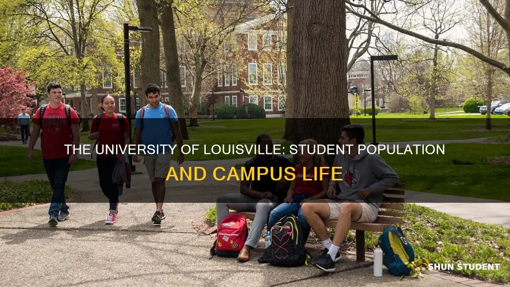 how many students attend the university of louisville