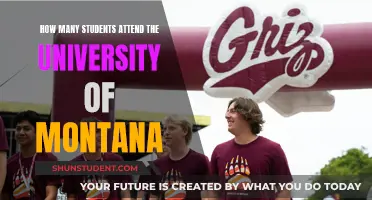 Montana University's Student Population: How Many?