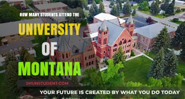 Attendee Numbers at the University of Montana