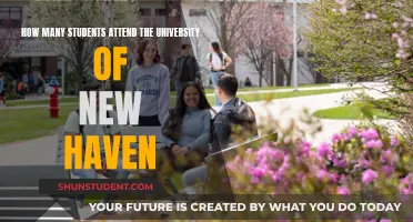 University of New Haven: Student Population Insights