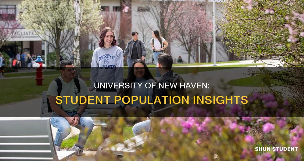 how many students attend the university of new haven