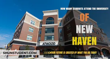Enrolment Insights: University of New Haven Student Numbers