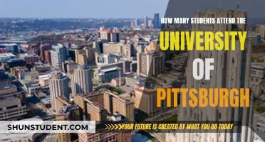 Exploring Pitt: Student Enrollment Figures Unveiled