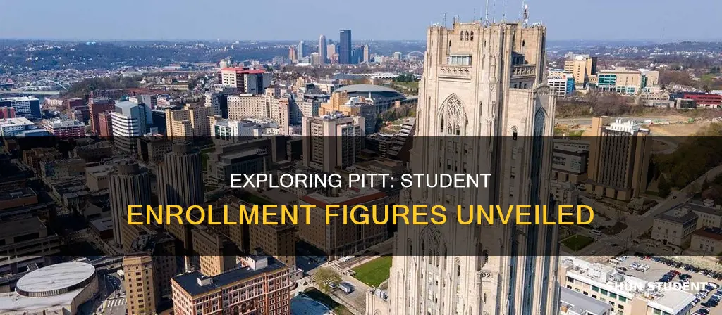 how many students attend the university of pittsburgh