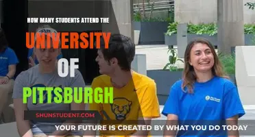 Exploring Pitt: Student Population Insights