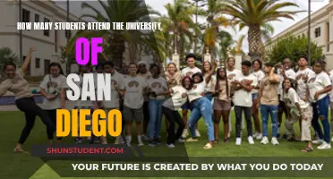 San Diego University: Student Population Insights