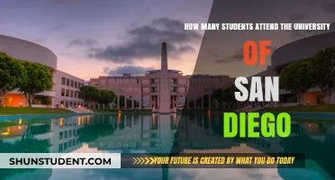 San Diego University: Student Population Insights