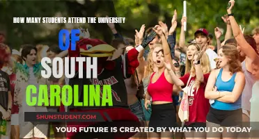 The University of South Carolina: Student Population Insights