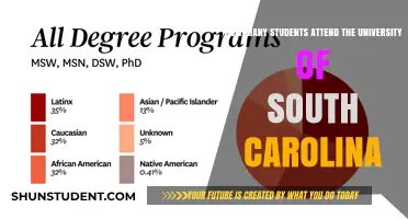 The University of South Carolina: Student Population Insights