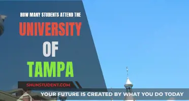 Exploring the University of Tampa's Student Population