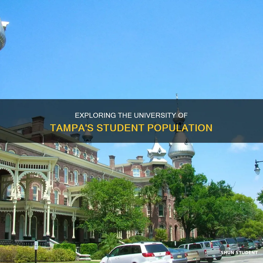 how many students attend the university of tampa