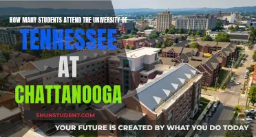 Exploring Student Population at University of Tennessee, Chattanooga