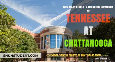 Exploring Student Population at the University of Tennessee Chattanooga