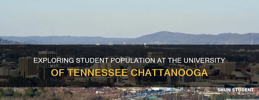 how many students attend the university of tennessee at chattanooga