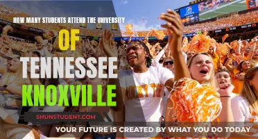 Knoxville's University of Tennessee: Student Population and More