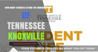 Knoxville's University of Tennessee: Student Population