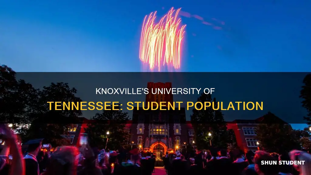 how many students attend the university of tennessee knoxville