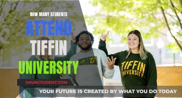 Attendee Numbers at Tiffin University: How Many Students?