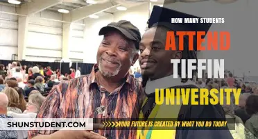 Attendee Numbers at Tiffin University: How Many Students?