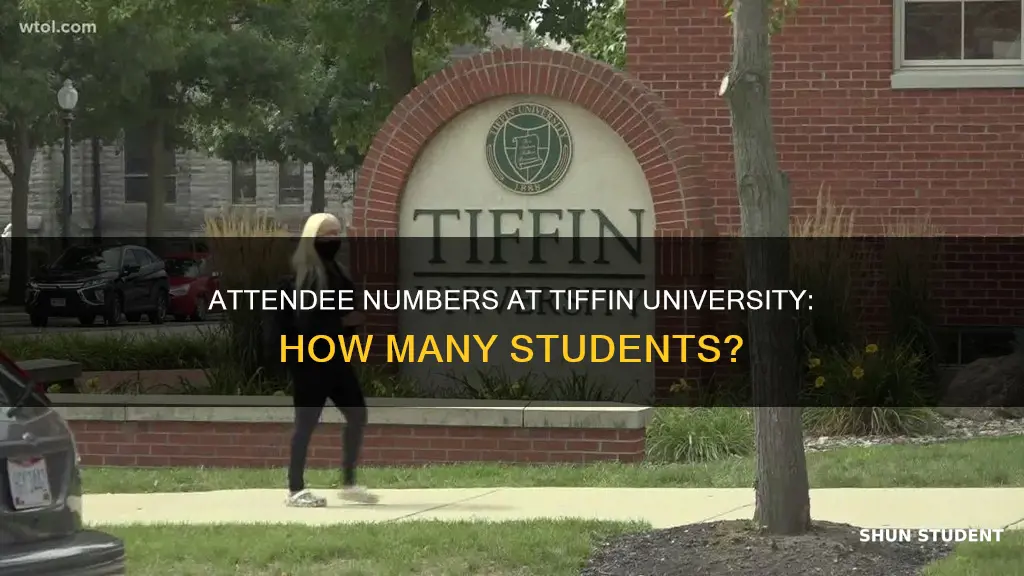 how many students attend tiffin university