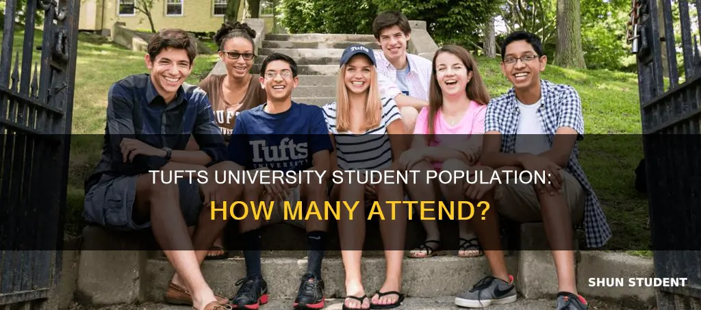 how many students attend tufts university