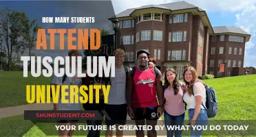 Attendee Figures for Tusculum University: How Many Students?