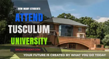 Attendee Numbers at Tusculum University: A Comprehensive Overview