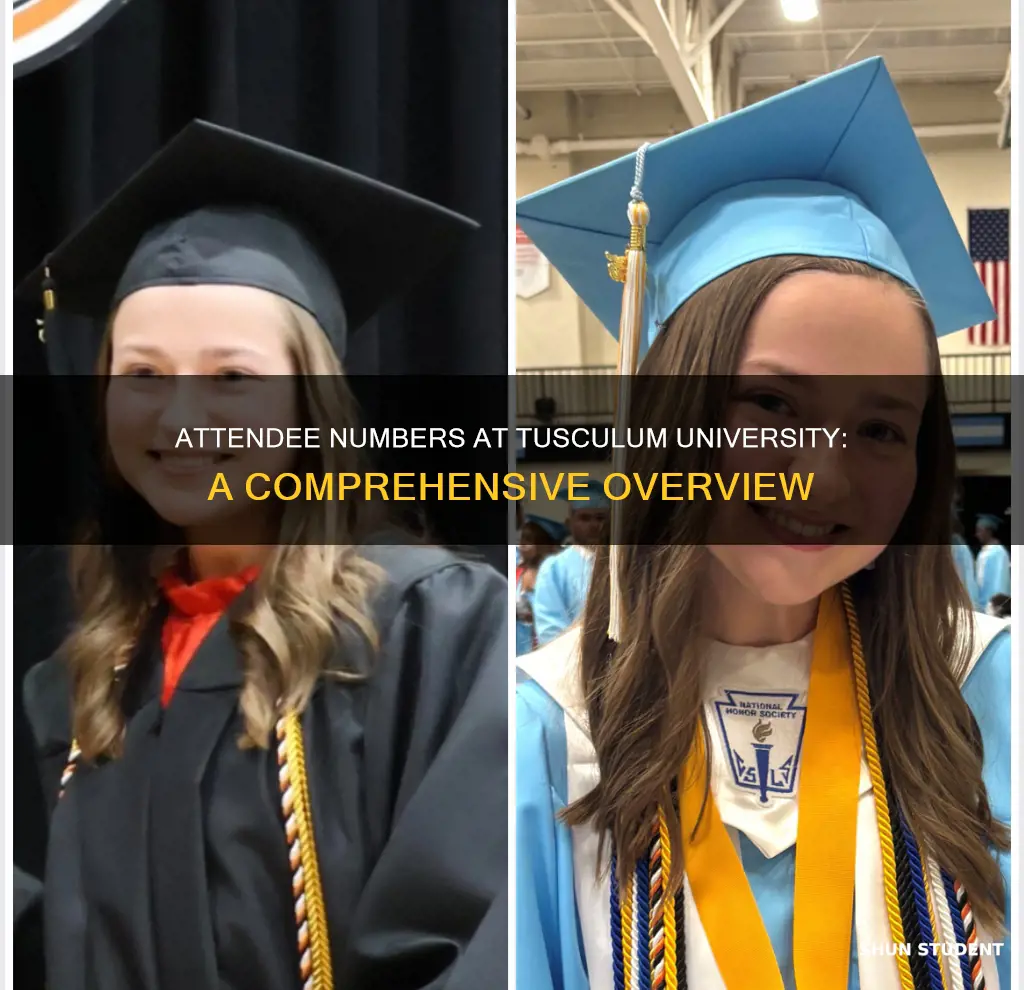 how many students attend tusculum university