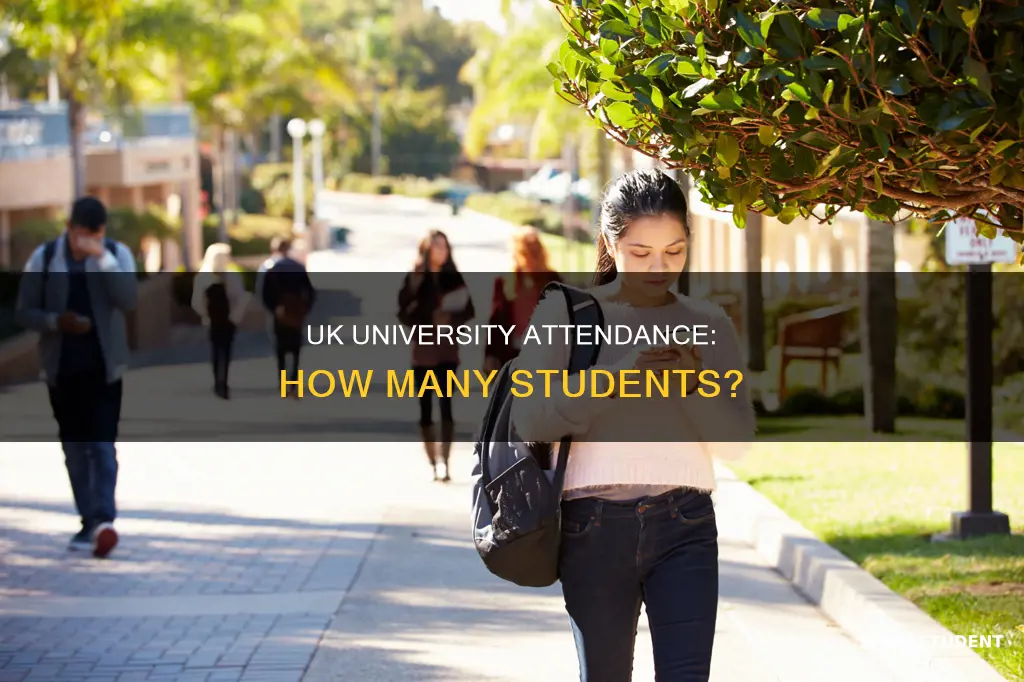 how many students attend uk university