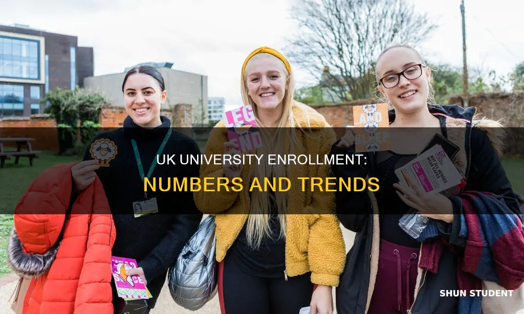 how many students attend uk university