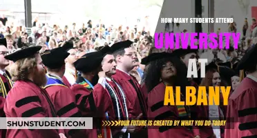 University at Albany: Student Population Insights