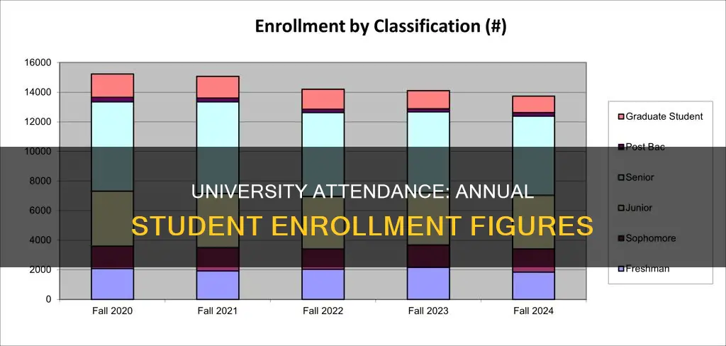 how many students attend university each year