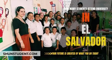 University Attendance in El Salvador: Student Numbers Analyzed